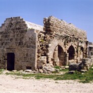 Συνεστίαση Ριζοκαρπασιτών 2014
